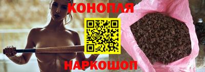 дживик Аша